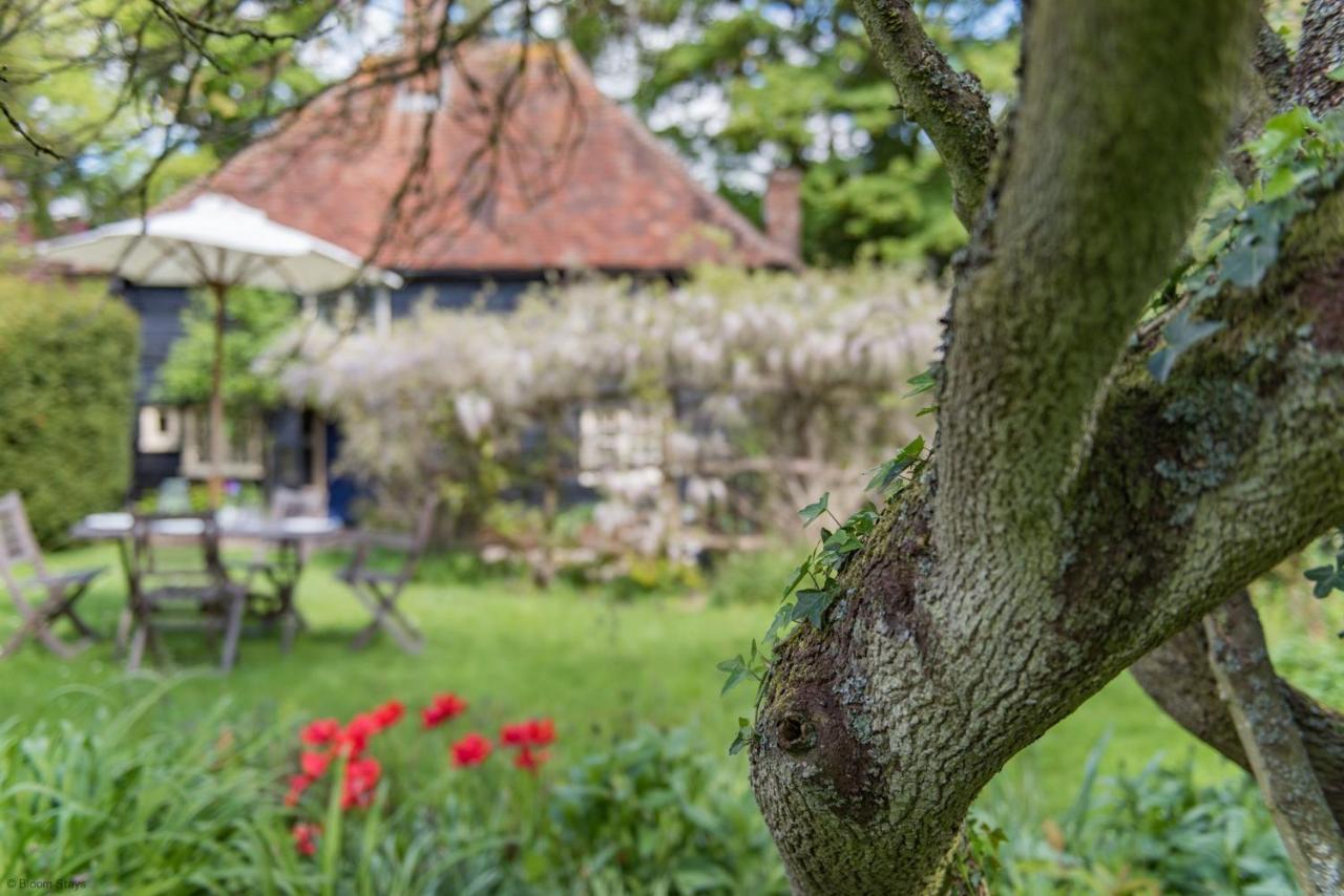 Walnut Tree Cottage By Bloom Stays フェイバーシャム エクステリア 写真